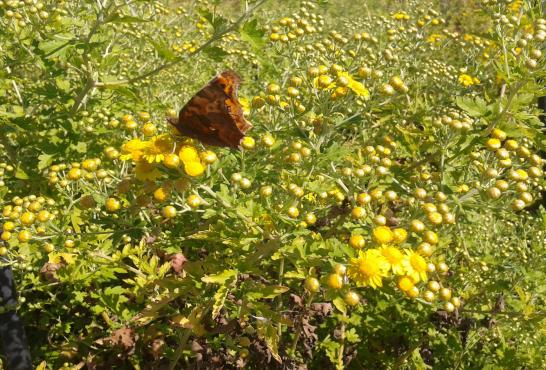 퀐푭 생?(2016둄 10? 4?).jpg