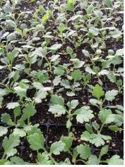 ?퀐푭 ?? 29??.jpg