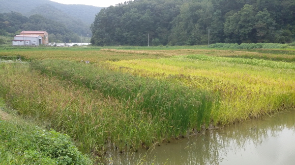 풠둼 9? 12?.jpg