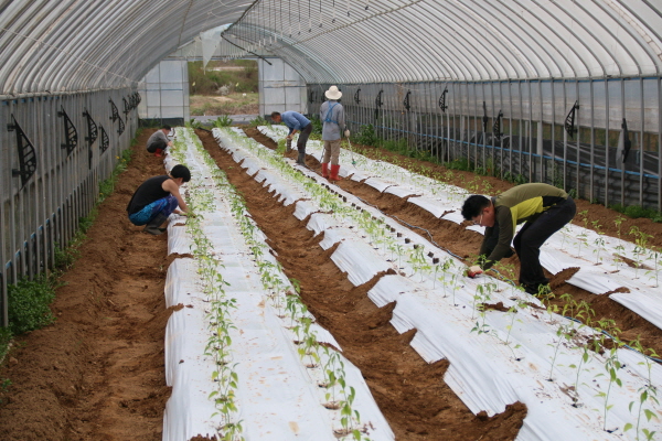 크? ??탠? 죝.JPG