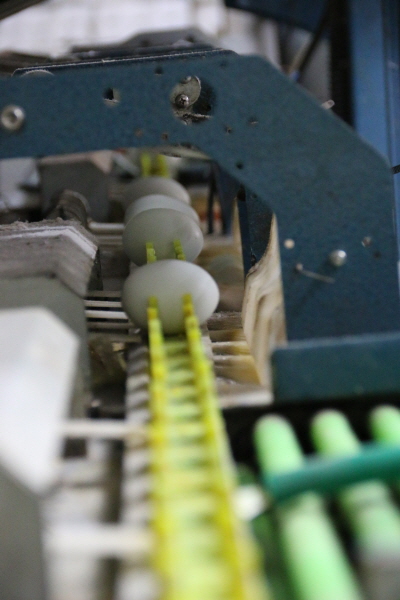 크???-??첀 ??.JPG