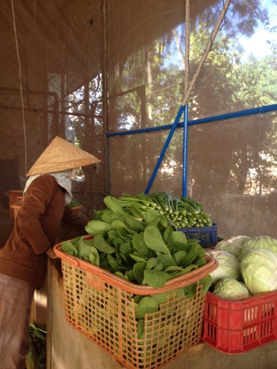 크???-볙남푄 뒍퓅.jpg