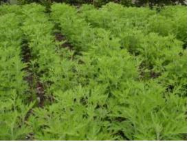 2둄생 4? 20? 생?상?-??? ?.jpg