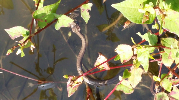 ?젭푄 쁠 .jpg