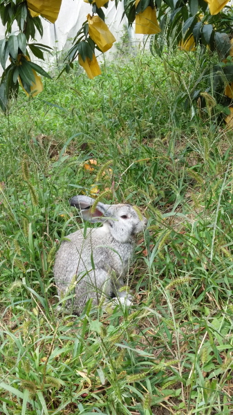 ?좹푄 풠끼.jpg