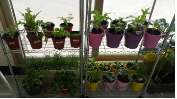 첀룤 푃-뒍?? ?탌.jpg