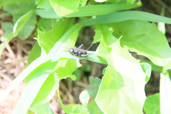 크? ??퓀좜챼?.JPG