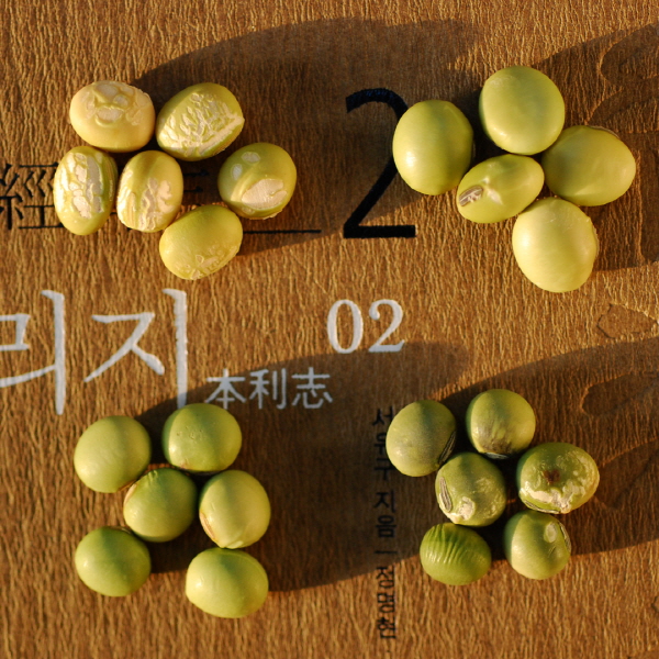 크? ??1푴밀?.jpg