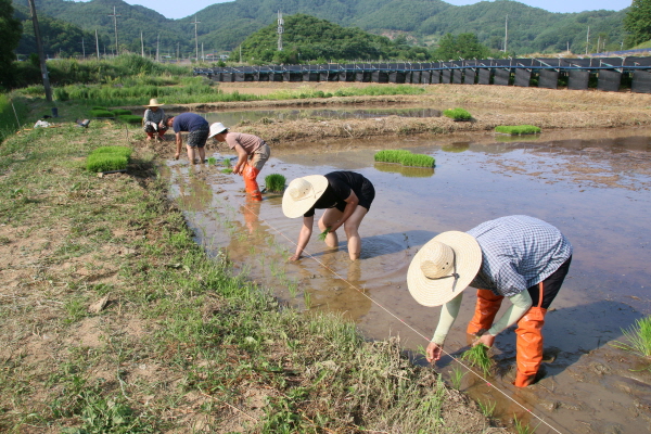 크? ??쒐?내?3.JPG