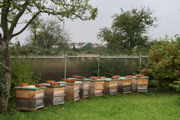 ?좤탨퓐 클챼?퀀푴푐퓐쐜뢔 젘? ?? 풑?? ? ?탠 ?룤..JPG