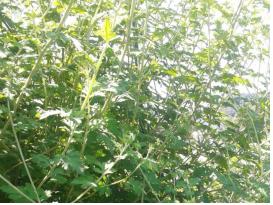 9? 16? 생? 상? 죬? ?? 푊?킽? 퀀?퀀 ?킌 ?첀룤.jpg