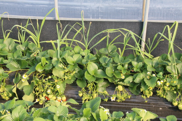 쐸??탠퀹 쐸? 퓈뢘.JPG