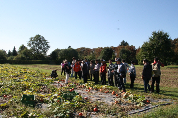 크???-사?3.둸? ?쒌 죜?? ??.JPG