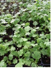 산푭 ? ? 29??.jpg