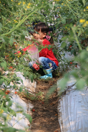 크???-?풠퓈풠 젘?.JPG