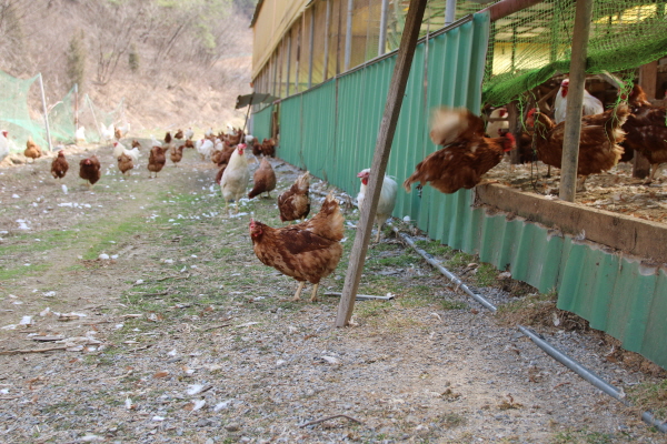 크???-??첀 ?3.JPG