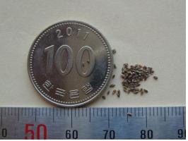 퀐푭? 100풽 크?? 풑.jpg