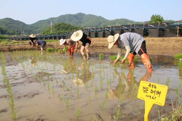 크? ??쒐?내?5.JPG