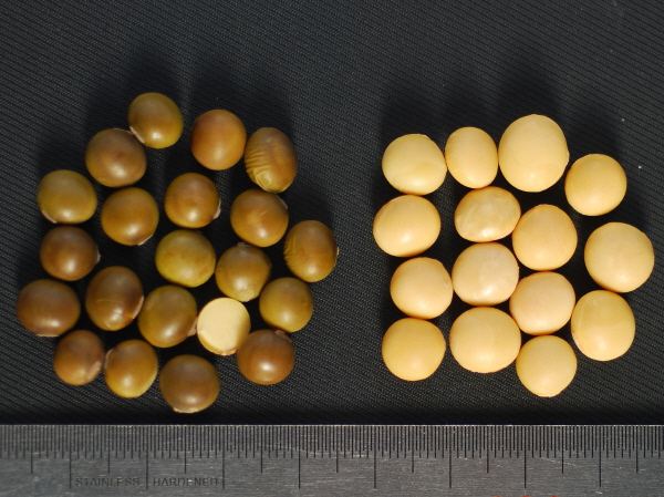 크? ??1? 태.jpg