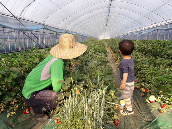 크? ??1?남퓰2.jpg