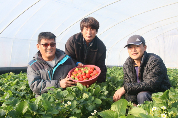 쐸??탠퀹 쐸? 퀕? 샱.JPG