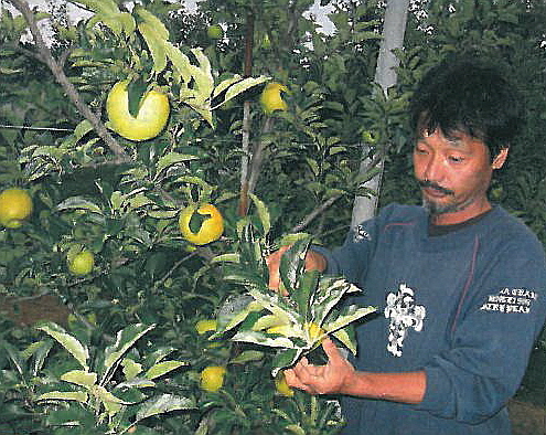 ?챼 뒍?? 죜나둸 탨샜 .jpg