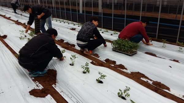 크???-풠퓈풠 ? 죬?.jpg