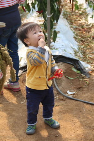 크???-풠퓈풠 푄?.JPG