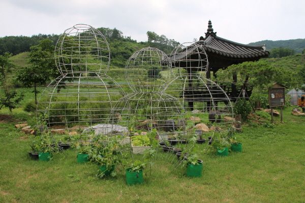 크???-??뒍 퀀.JPG