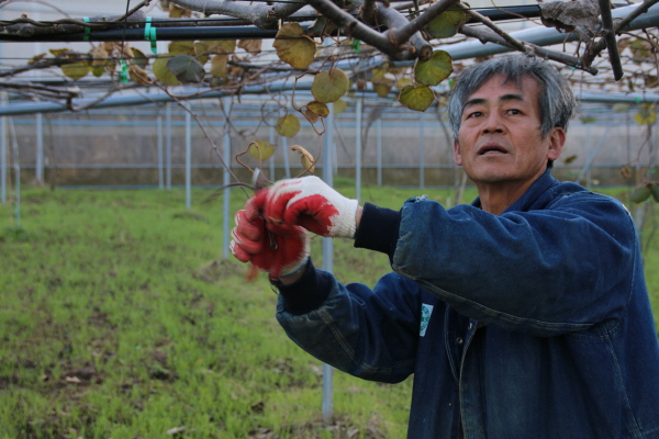 크???-?쐝? ?남 키?.JPG