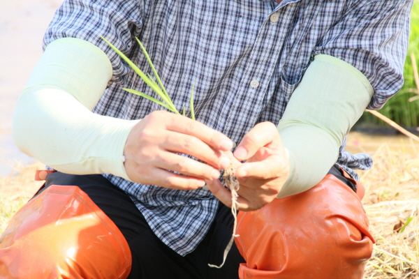 크? ??쒐?내? 죜2.JPG