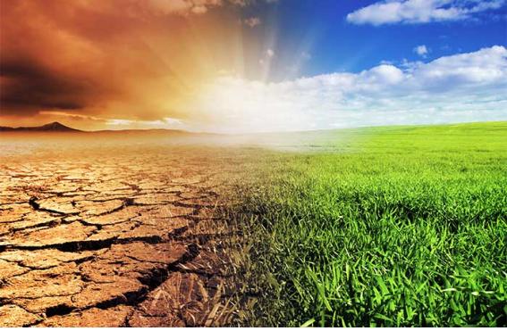 탄쒌 ?? ?푬 ?난?.jpg