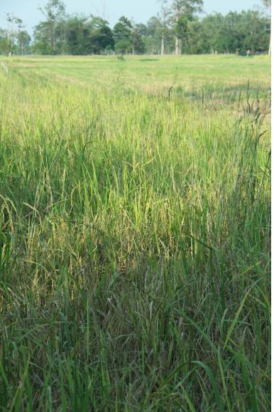 풵뒍퓅 ??? 둼.jpg