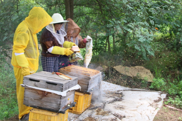 크? ?? ?젘젘죠?? ? ?퓰3.JPG