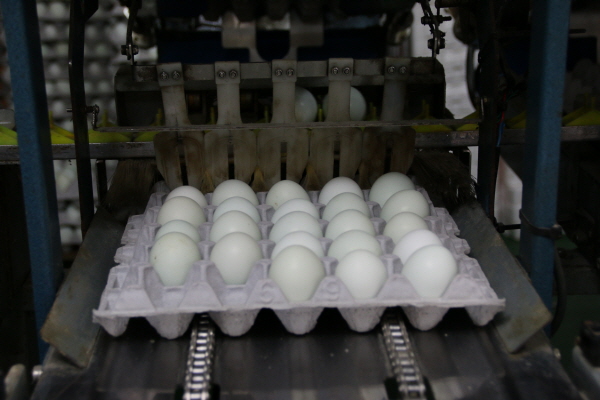 크???-??첀 ?좵.JPG