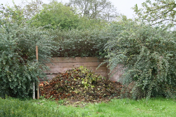 ?좤탨퓐 클챼?퀀푴푐? 탵볙퓴??.JPG