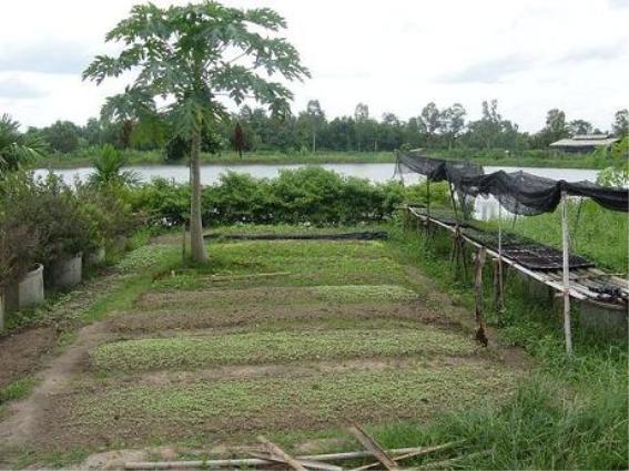 뒍퓈타? 뒍? 킽.jpg