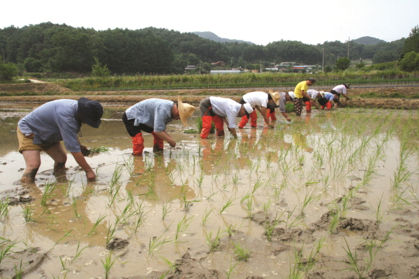 ????-≫c?¿R?a? ?c?³≫?.JPG