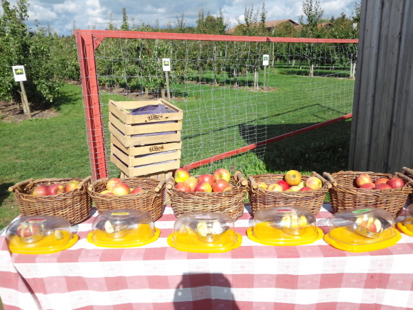 사?3.룤풑? ? 사탼.jpg