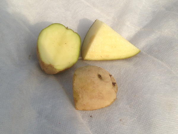 크???-?퐑 퀐?.JPG