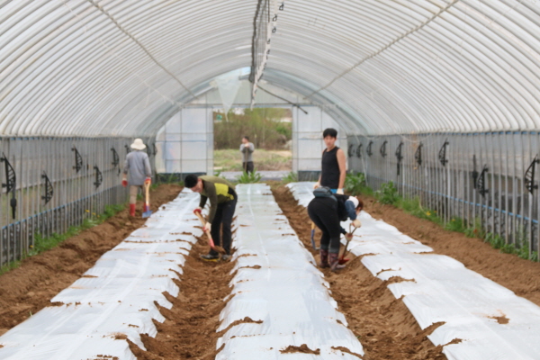 크? ??탠? 쁐쁑 퓌샤?.JPG