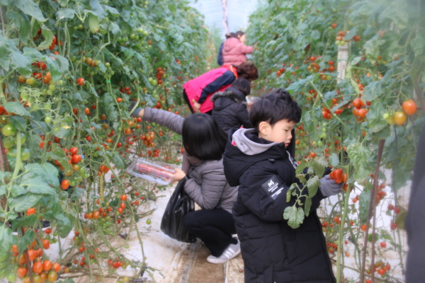 ??챽 ?풠퓈풠 젘???.JPG