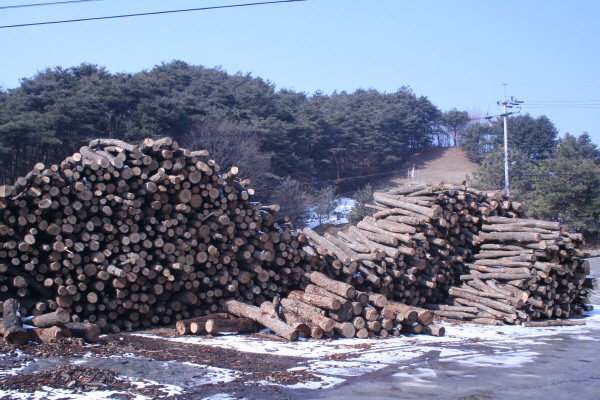 ?A¬≫c?1.?A¬?μq´j ≫c? ??O ?³ª? ??.JPG