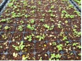 4? 12?-3? 28? ? ? 10??퐰 ?푄.jpg