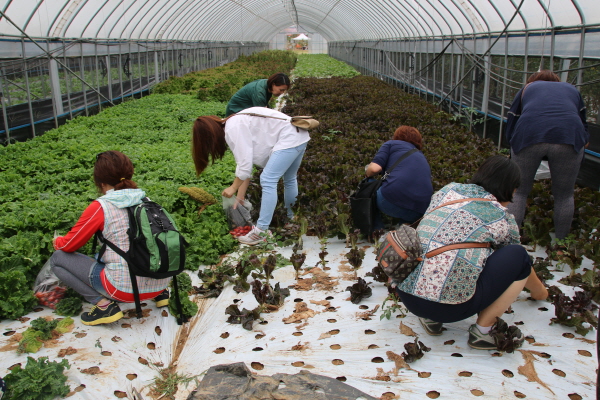 크???-볙밀?푬 산???.JPG