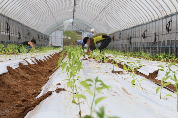 크? ??탠? 죝2.JPG