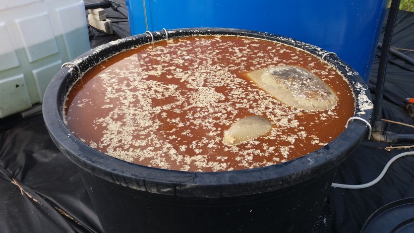 20190706_155933 ?≫y? ¿??? 4??_?AA ³­ ?¤.jpg