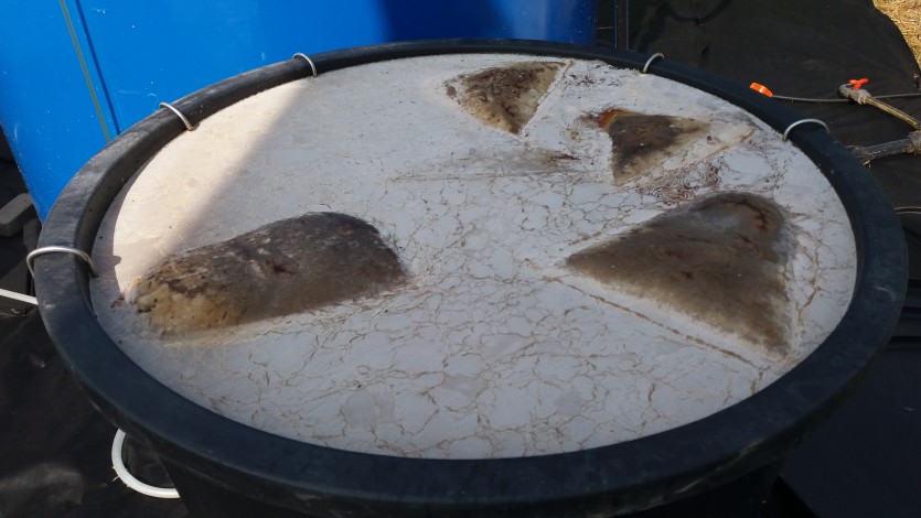 20190706_155422 ?≫y? ¿??? 4??_?Q? ¿?¿p?u??.jpg